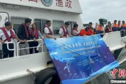 在线排盘浙江今年计划放流种类海洋水生生物苗种超15亿单位