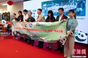 在线排盘中国彩绘熊猫艺术国际巡展东京站开幕