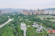 在线排盘西宁市举办六五环境日主题宣传活动
