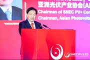 在线排盘SNEC大会开幕 朱共山：这一年大家都过得不容易 困难是暂时的