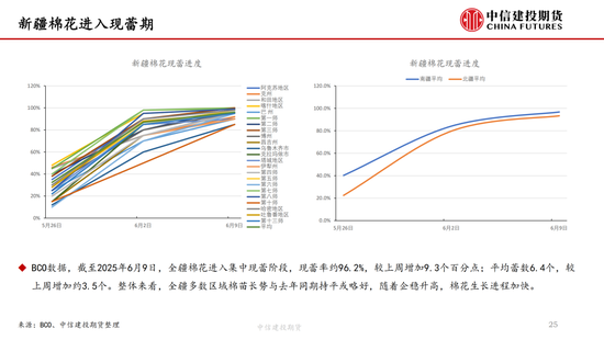 【棉(❌)花纺谈】供应端阶段性缩量 疆棉基差坚挺